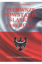 Pierwsze Powstanie Śląskie w zarysie